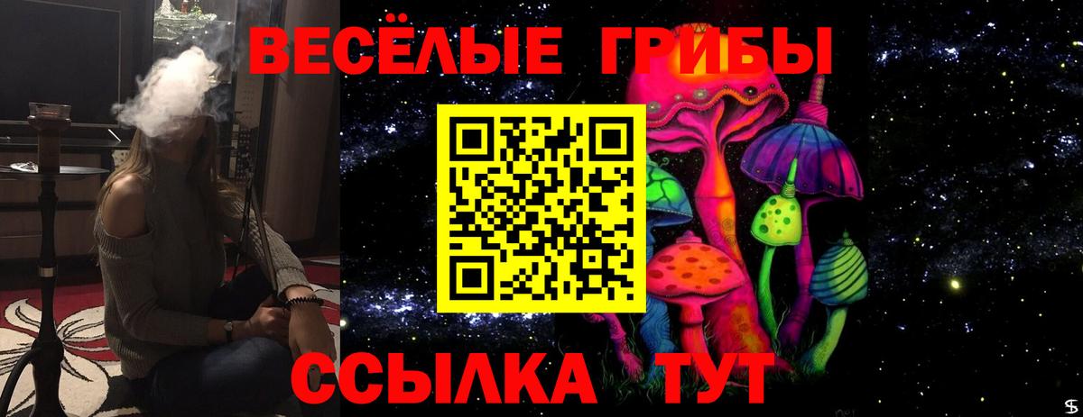 Галлюциногенные грибы Magic Shrooms  Вход с VPN  Галлюциногенные грибы Magic Shrooms  Гатчина 